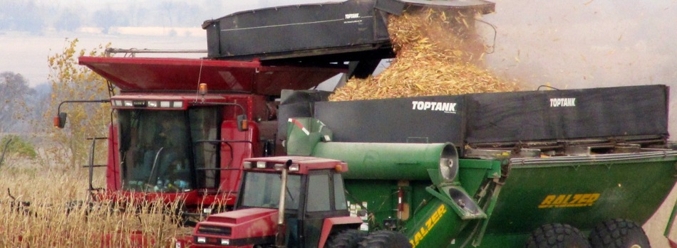 Biomass: Harvesting